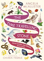 The Time Travelling Stone cover