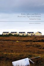 Form, Affect and Debt in Post-Celtic Tiger Irish Fiction cover
